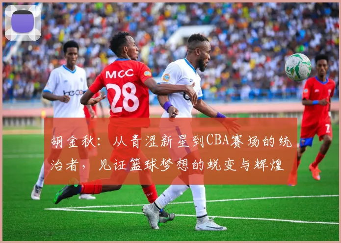 胡金秋：从青涩新星到CBA赛场的统治者，见证篮球梦想的蜕变与辉煌