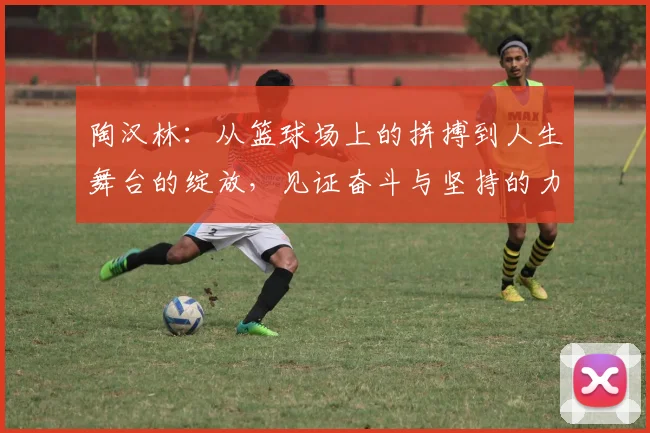 陶汉林：从篮球场上的拼搏到人生舞台的绽放，见证奋斗与坚持的力量